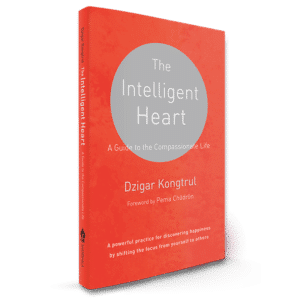 The Intelligent Heart Book