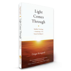 Book Light Comes Through
