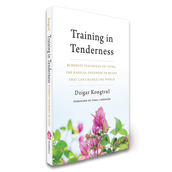 Book Training in Tenderness