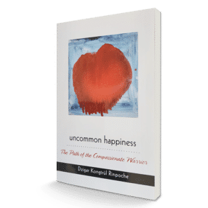 Book-VDKR-Uncommon-Happiness