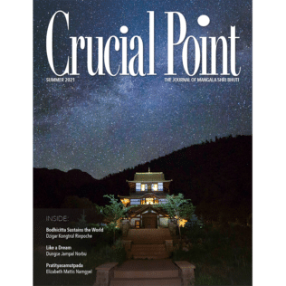 cover of the 2021 crucial point journal