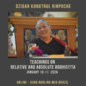 MSB Brazil 2026 square image