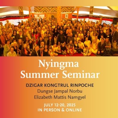 2024-NSS-Web-Inset-600x600