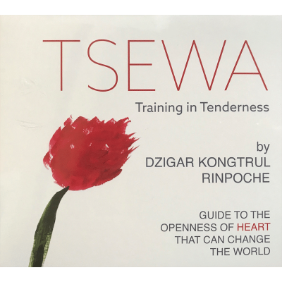 Audio-Tsewa