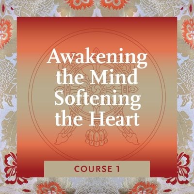 MSB_Course-1