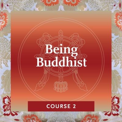 MSB_Course-2