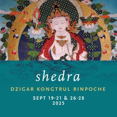 shedra-2025