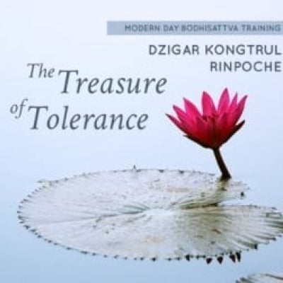 treasure-of-tolerance
